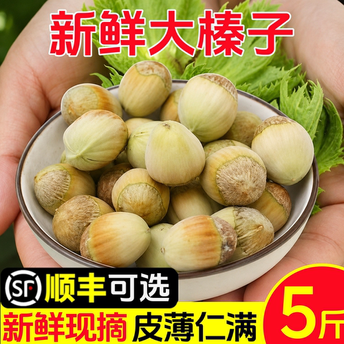 东北新鲜榛子现摘带绿皮坚果