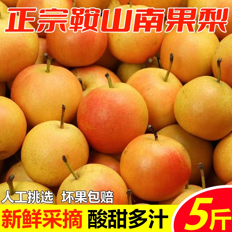 鞍山南果梨海城正宗南国梨酒香东北小香水梨新鲜水果当季整箱包邮