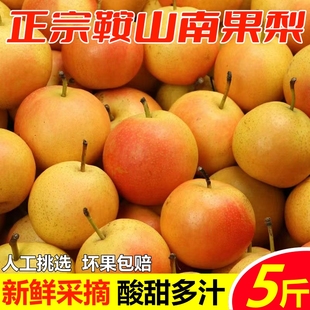 鞍山南果梨海城正宗南国梨酒香东北小香水梨新鲜水果当季整箱包邮