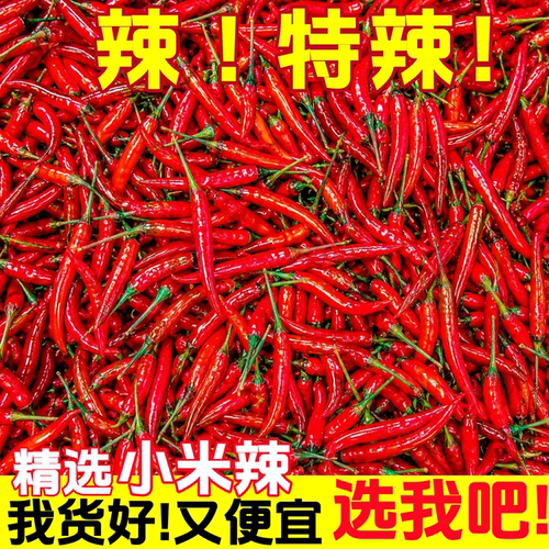 现摘小米椒农家红辣椒包邮