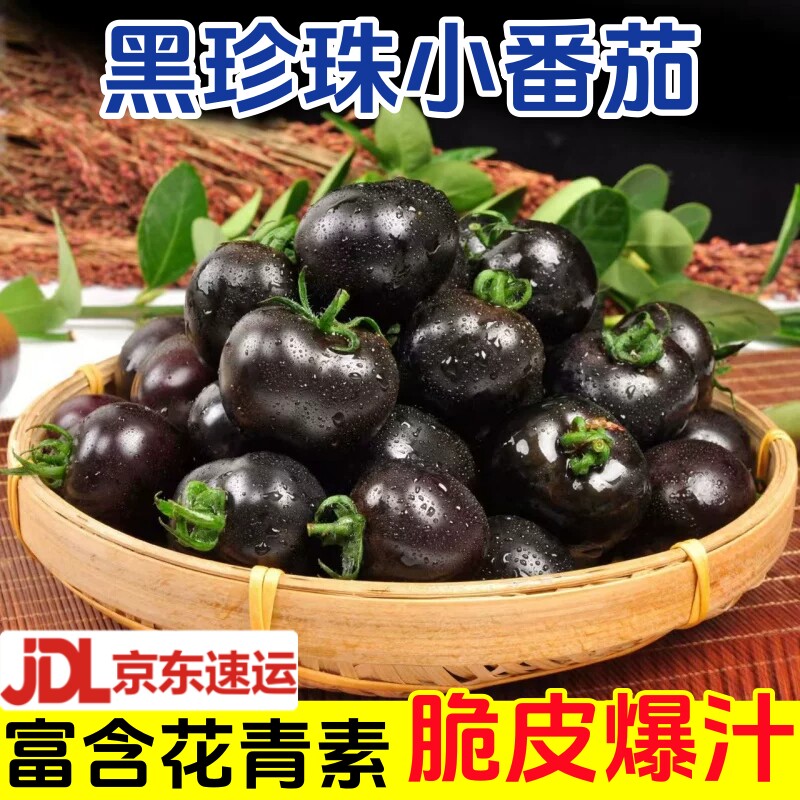 黑珍珠小番茄山东小番茄新鲜即食紫黑色生吃圣女果黑玫瑰小柿子