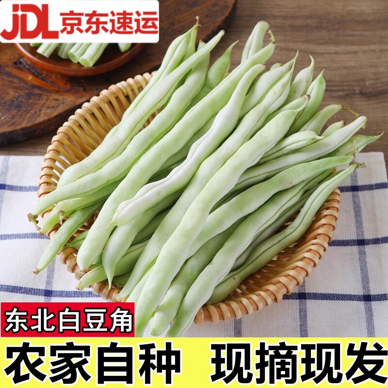 东北白豆角新鲜芸豆老来少图片