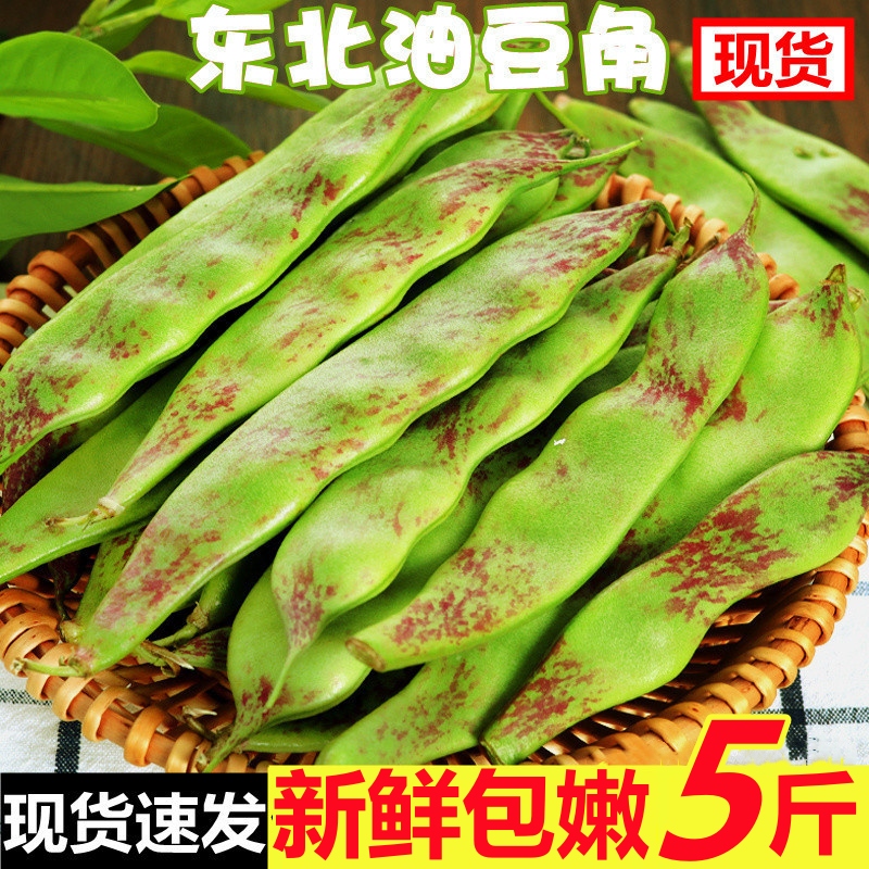 东北油豆角现摘新鲜蔬菜新鲜一点红油豆角九月青黑龙江整箱包邮
