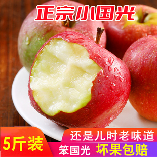 东北国光苹果酸甜富士新鲜当季老品种冰糖心丑萍果新鲜水果包邮