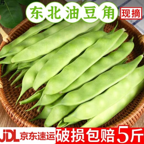 九月青豆角新鲜东北油豆宽扁豆