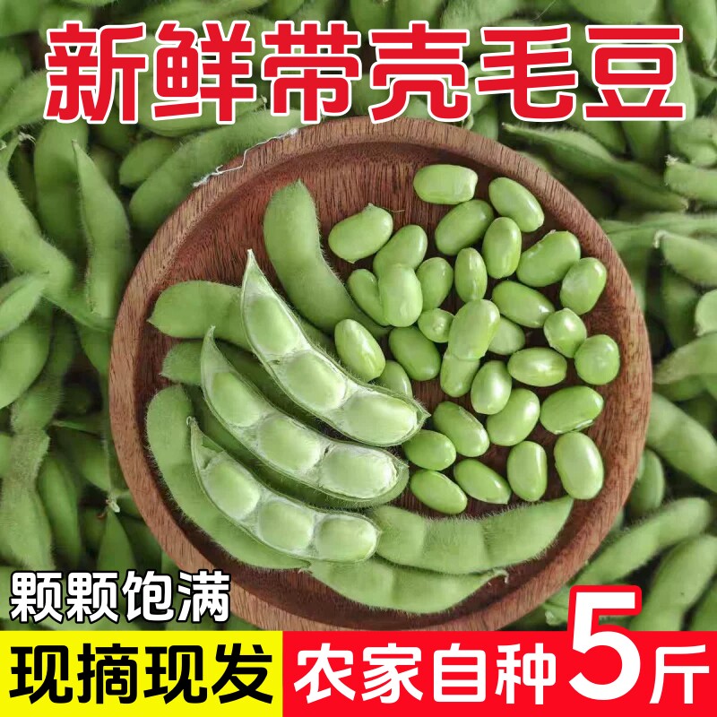 毛豆新鲜带壳青豆子毛豆鲜嫩大青豆下酒菜当季时令农家自种蔬菜