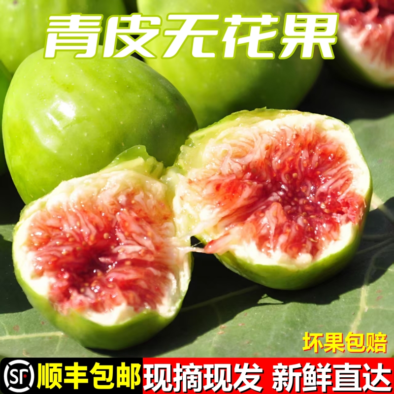 威海青皮无花果鲜果新鲜现摘青皮无花果鲜果特大应季孕妇水果当季