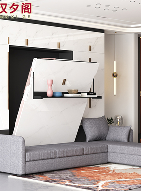 轻奢客厅隐形床衣柜一体组合带沙发多功能正翻墙上折叠床8CH-804