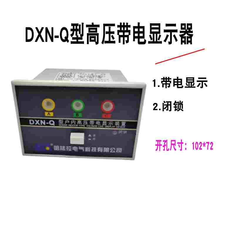 DXN-Q高压带电显示装置DXN-T显示器102*72带闭锁开关柜CG5-10Q