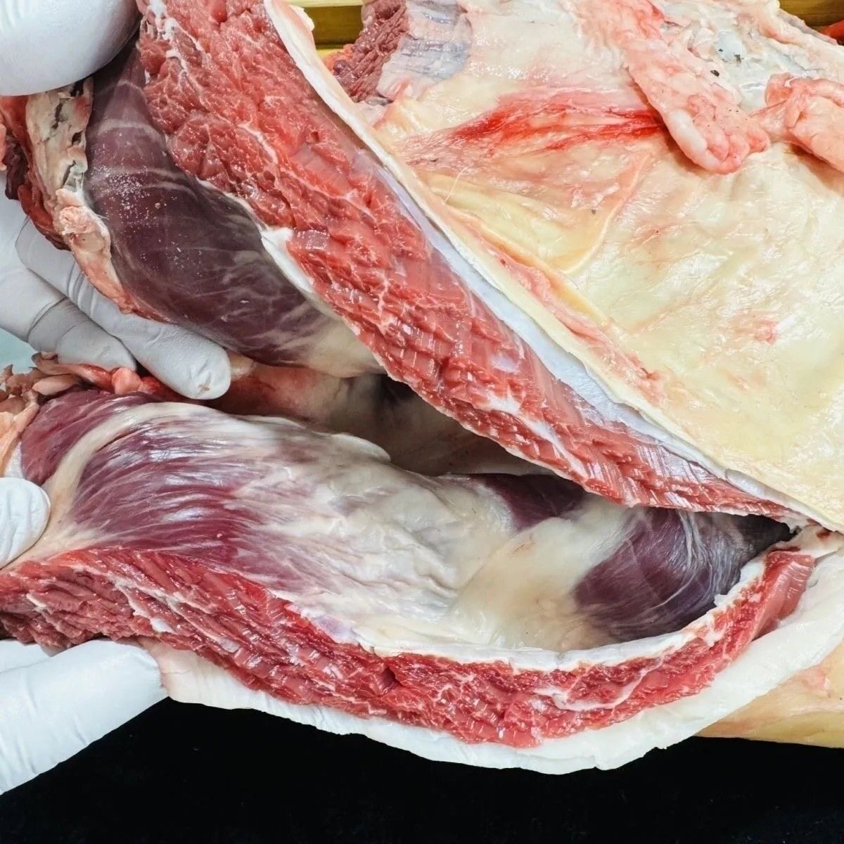 东北烧烤冷冻二号筋牛宫后夹肉烧烤串宫后筋烧烤食材商用淄博烧烤