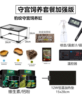 豹纹守宫饲养套装蜥蜴爬宠饲养箱睫角守宫雨林缸钙粉维生素加热垫