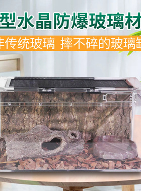 爬宠饲养箱豹纹守宫蜥蜴睫角乌龟角蛙蛇蜘蛛爬虫亚克力透明玻璃缸