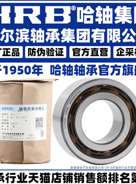 HRB 哈尔滨轴承 (双列)  3200 3201 3202 3203 3204 3205 A-2RZTN