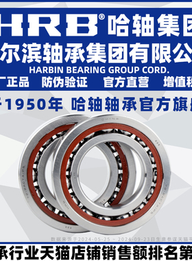 HRB 哈尔滨轴承 7216 7217 7218 7219 7220 AC P5 配对 DB DF DT