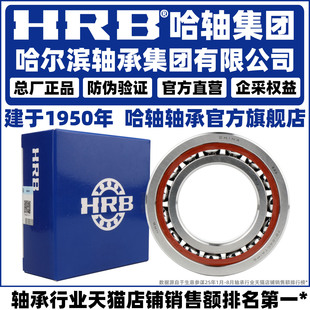 ACTA HRB哈尔滨角接触轴承 719系列高精密工业轴承