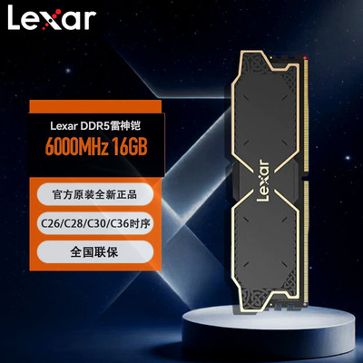 雷克沙DDR516G内存C366000MHZ