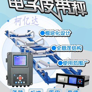 全國包安裝 不同規格電子秤 速發
