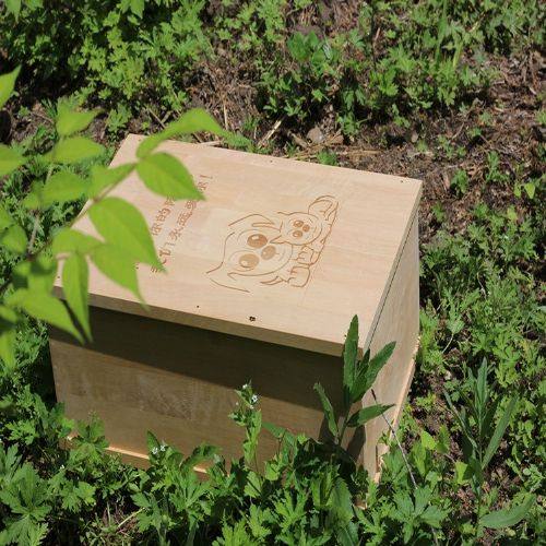 速发坛棺木实材猫材去世小棺材狗棺材猫棺狗小狗猫新款,商业/办公家具,骨灰盒,淘宝优惠券,粉丝福利购,淘宝优惠卷