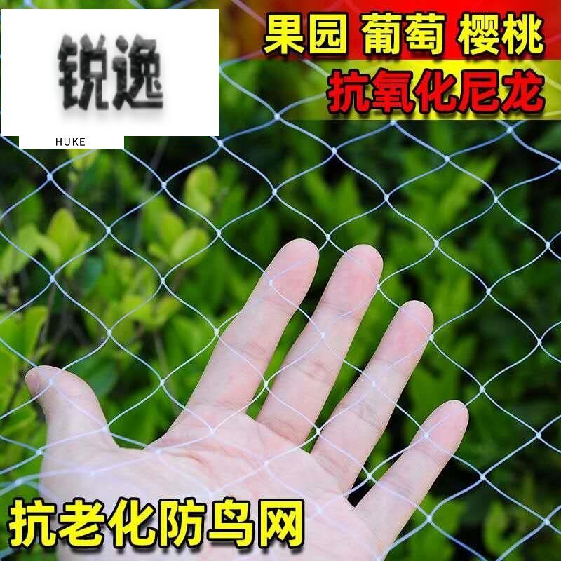 速发尼龙网防麻雀网果园防殖网果树樱桃鱼塘网鸟葡萄防护天网丝养