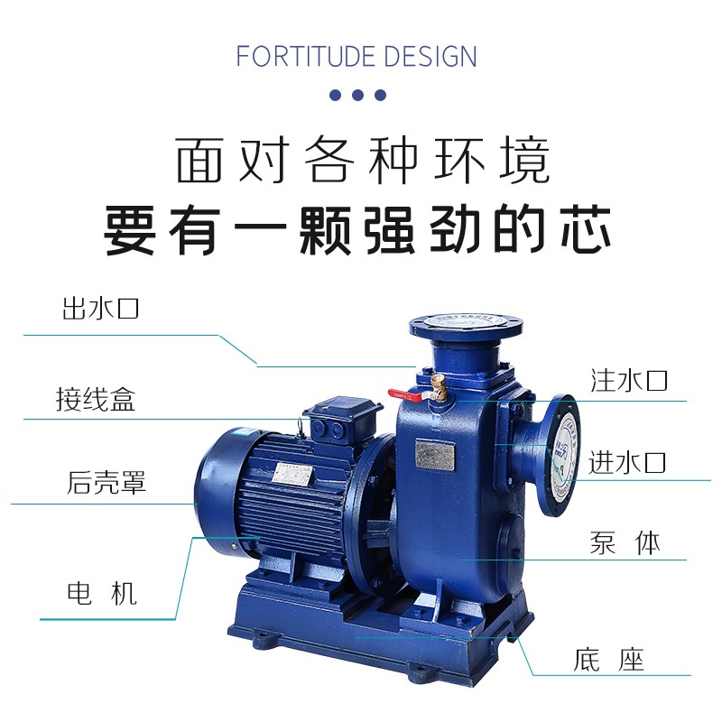 速发济亨BZ自吸泵卧式管道离心泵80v大流量高扬程抽水泵三相循环