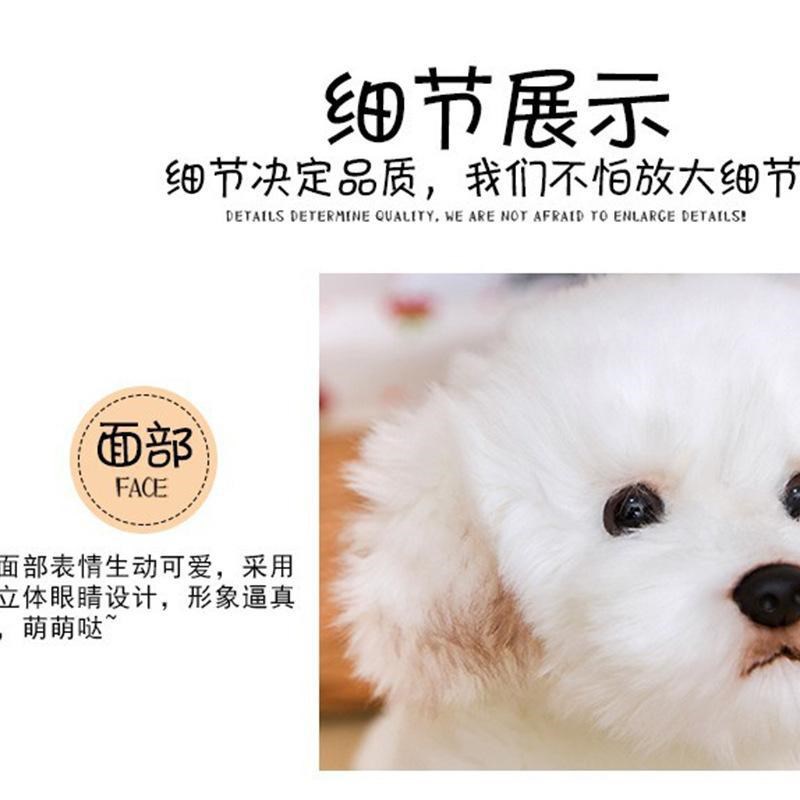 速发玩具毛绒狗玩斯犬娃娃礼物马尔济偶可爱比熊生日包邮包邮