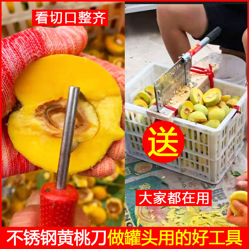 速发铡瓣家用小型不锈钢切刀黄切切桃刀桃桃子神器黄桃分刀刀送挖