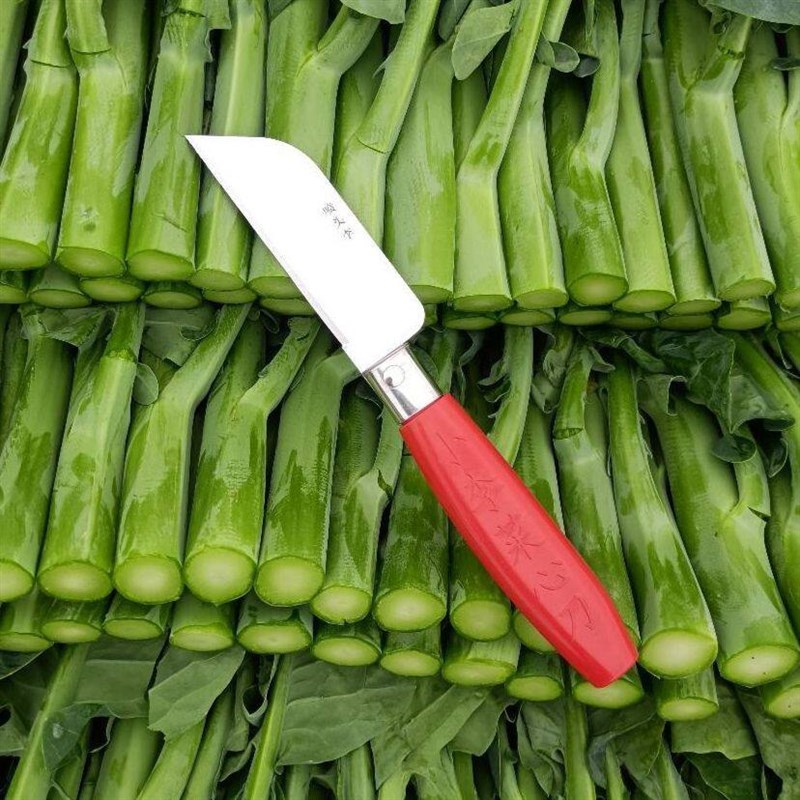 速发新款小李菜心刀菜场专用多功能割菜神器折叠式菜心青菜农用摘