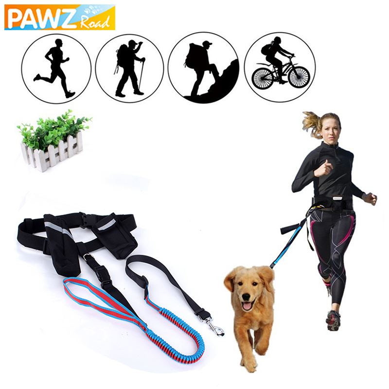 速发P WZRoad Had Freg Pet Dogs Wst Lsh ARuie Elasti