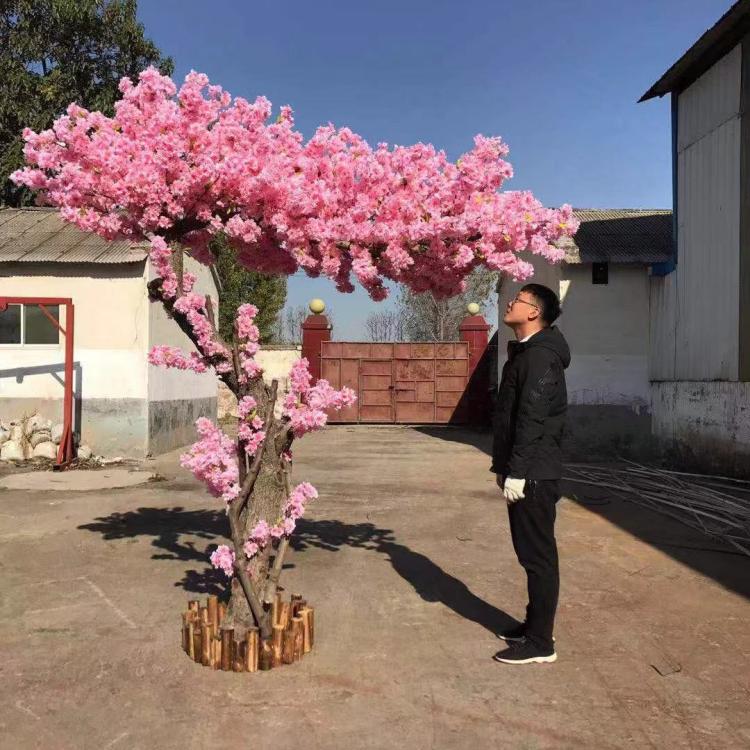 速发树室内装饰大型假桃花树许愿树婚庆酒店商场客厅摆设桃树