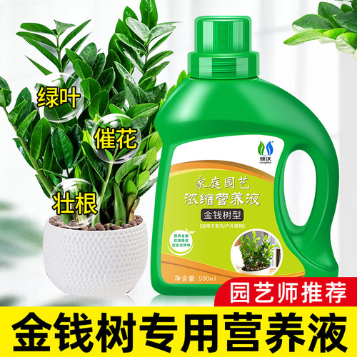 速发金钱树肥料专用肥营养液花肥防黄室内盆栽养花用植绿通卉型肥