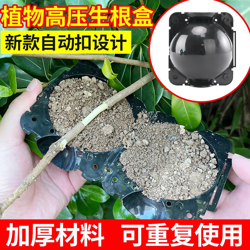 速发植物高压繁殖嫁接盒果树花卉生根神器插枝嫁接控根育苗盒园艺