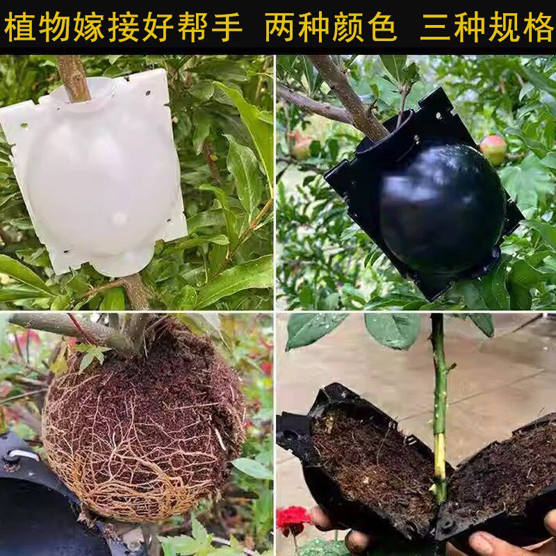 速发植物高压嫁接盒繁殖控根器扦插高压包生根盒枝繁殖球生根繁殖