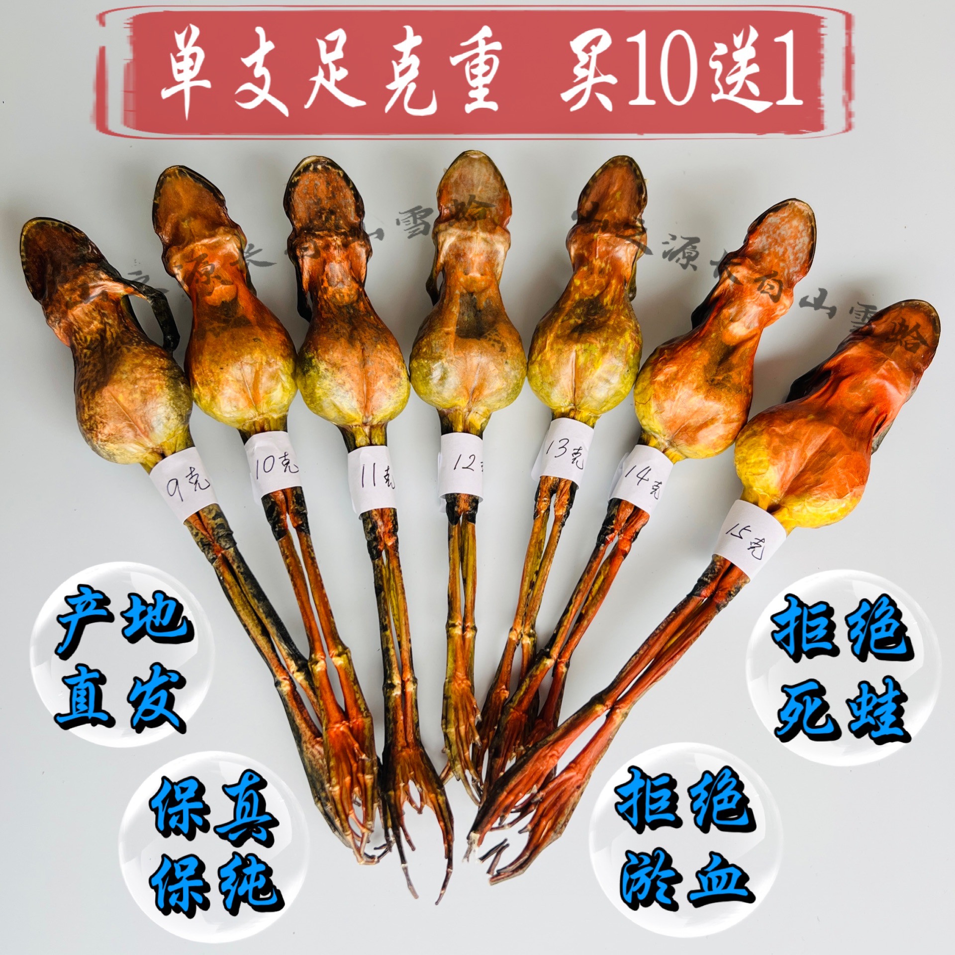 山之源长白山雪蛤雪哈旗舰店正品雪蛤干整只东北林蛙干雪蛤油10克