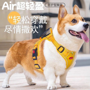 福莱希蒙淼狗狗牵引绳背心式胸金毛柴犬柯基中大型犬遛狗绳狗链子