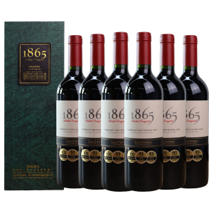 智利原瓶进口红酒圣佩特罗1865赤霞珠干红葡萄酒750ml*6整箱礼盒