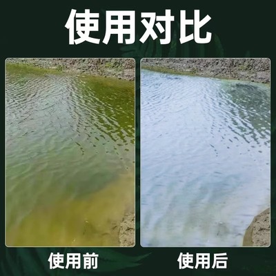 鱼塘净水剂池塘变清养鱼专用净水剂鱼塘杀毒菌除臭水变清水质净化