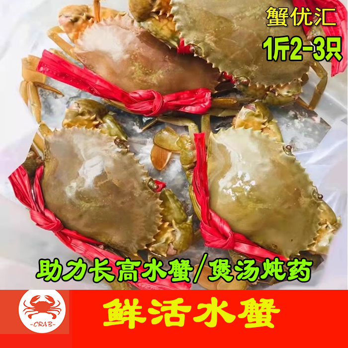 蟹优汇水蟹(1斤/约1-3只)青蟹广东海蟹螃蟹鲜活(水蟹煲汤炖田七)