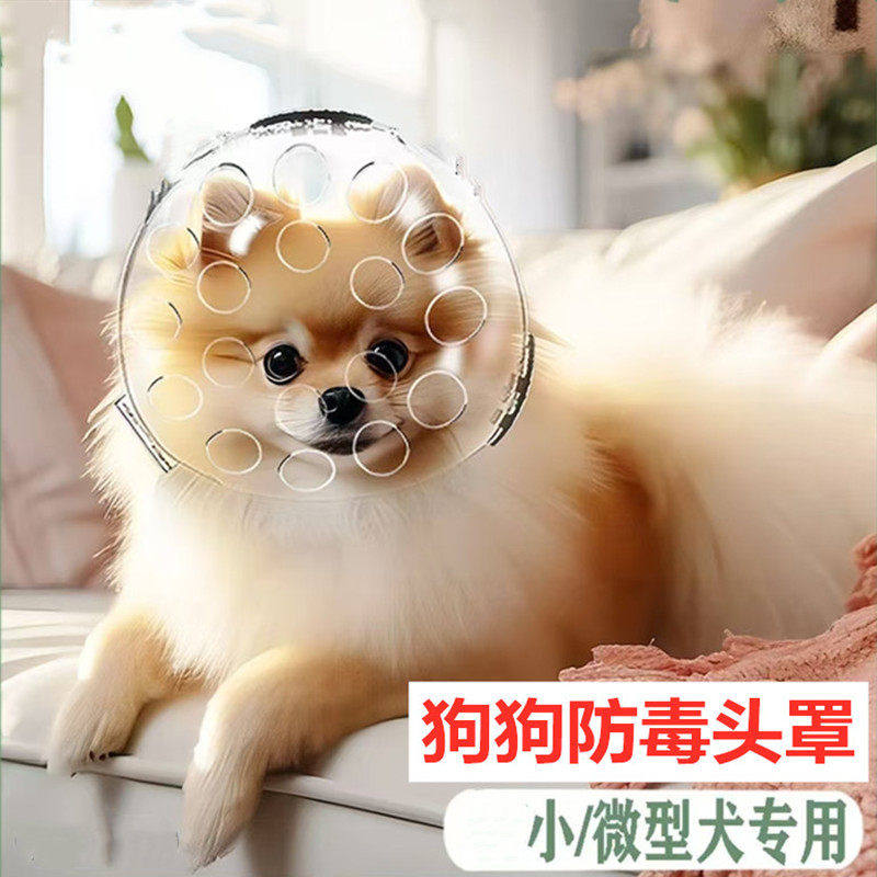 小狗防毒面罩狗狗太空头罩宇航员头套防乱吃宠物嘴罩防舔咬防误食