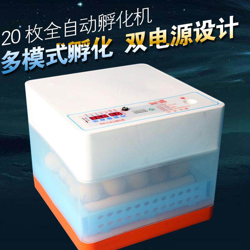 伊科贝特全自动孵化机24枚小型孵化器家用型 智能孵蛋器