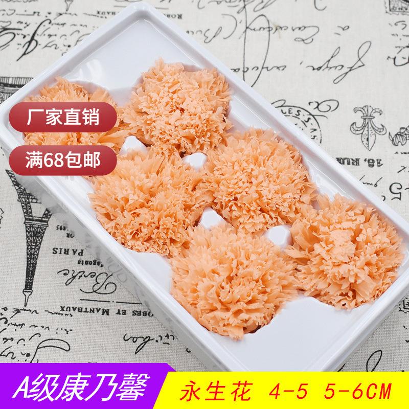 幻花永生花A级康乃馨整盒diy花材材料包玻璃罩情人节保鲜花假花