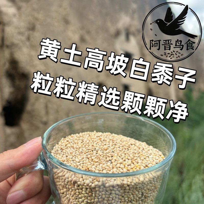 白黍子带壳鸟粮幼鸟开食当季新鲜