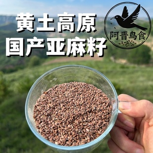 优质国产亚麻籽鹦鹉鸽子鸟粮非转基因黄土高原胡麻籽专用油料粮食