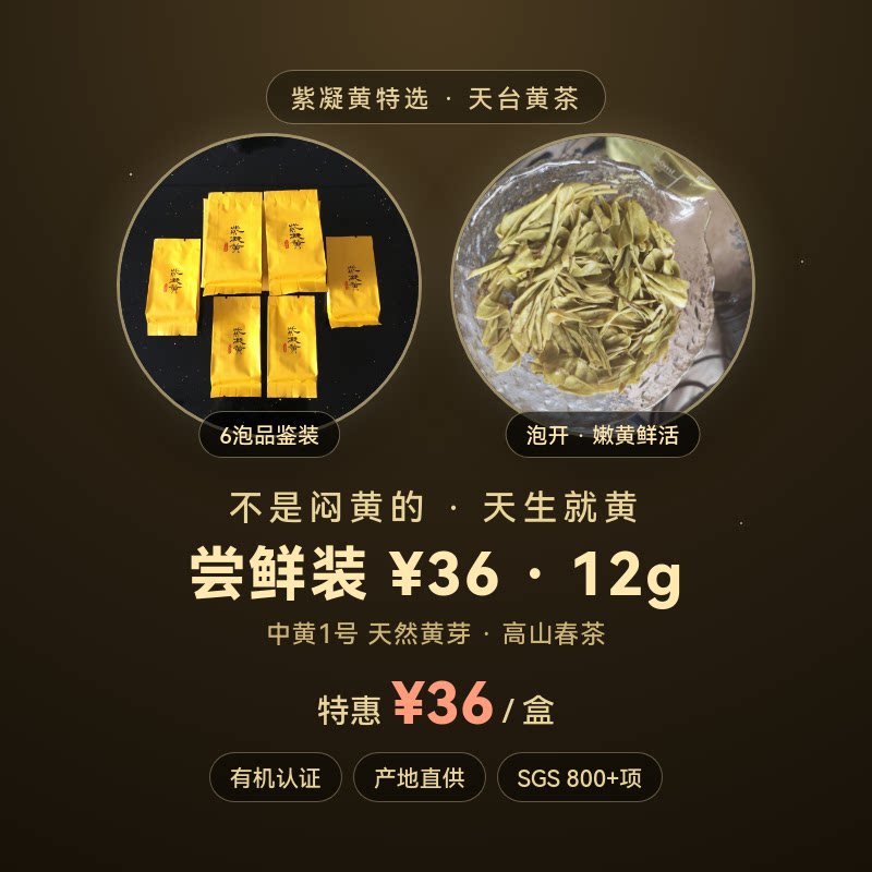 天台黄茶特一级绿茶叶独立小包装紫凝黄特选高端茶叶自己喝试喝装图片