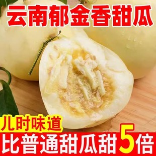 现摘现发新鲜水果整箱脆甜孕妇儿童辅食包 云南郁金香甜瓜10斤当季