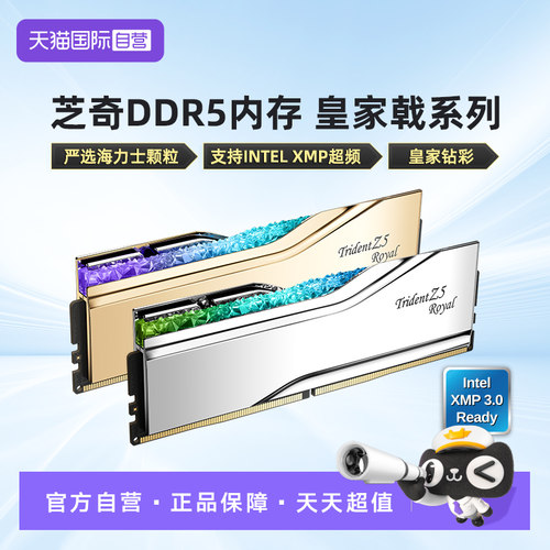 芝奇皇家戟DDR5XMP内存