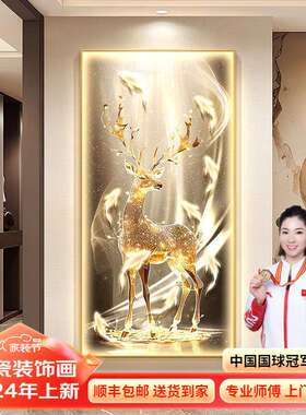 昊聪2024款高端玄关装饰画带灯进门入户画过道走廊墙壁挂画现代高