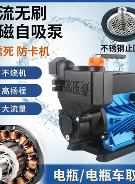无刷直流自吸泵农用电瓶车浇菜吸水泵12v24v48v72v船用灌溉抽水机