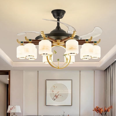 客厅风扇灯隐形吊扇灯2025新款家