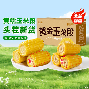 灶小美玉米新鲜糯玉米段真空装非即食礼盒装粘糯鲜苞谷粗粮玉米棒