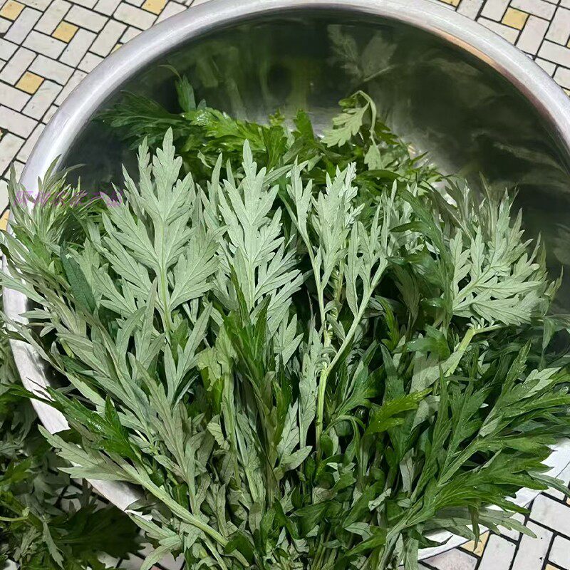 新鲜艾草食用艾叶野菜青团糍粑粑清明果嫩艾叶艾蒿艾米果现摘批发